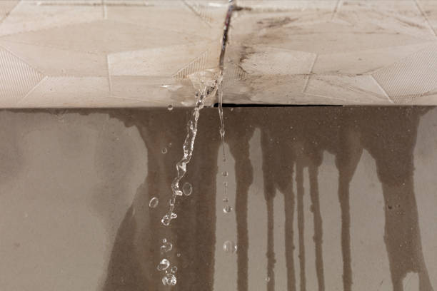 Professional Water Damage Repair technician working in Milltown, NJ